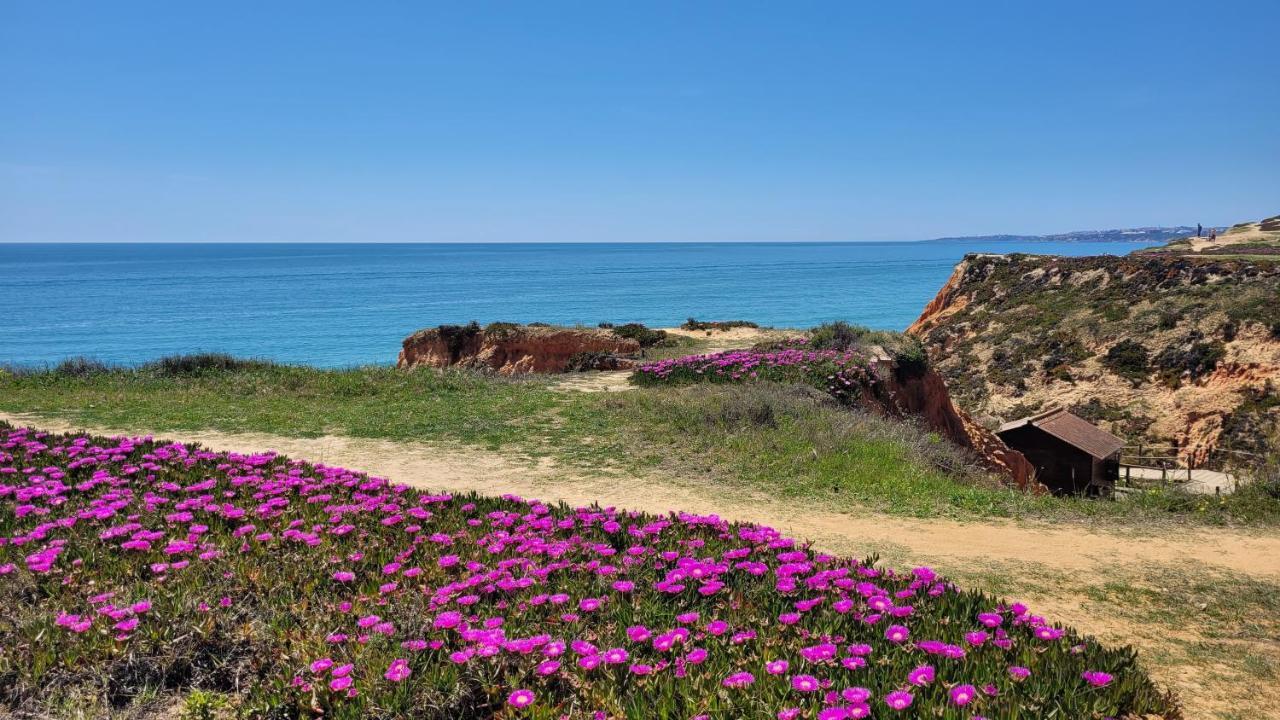 Excelente Apartamento - Praia Da Falesia - Alfamar - Zona Tranquila Albufeira Exterior photo